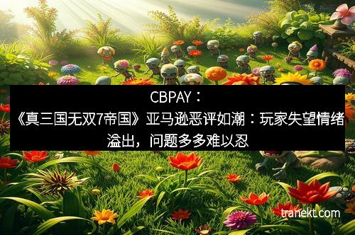CBPAY:《真三国无双7帝国》亚马逊恶评如潮:玩家失望情绪溢出,问题多多难以忍受